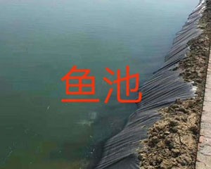 魚(yú)池防滲膜